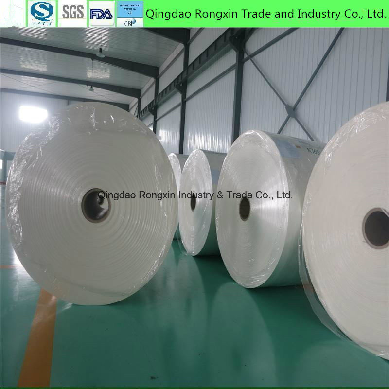 Double Side PE Coated Paper in Roll or in Sheet for Cups