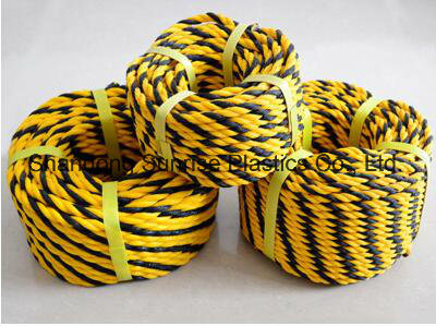 Tiger PE Rope for Southeast Asian /Japan Market