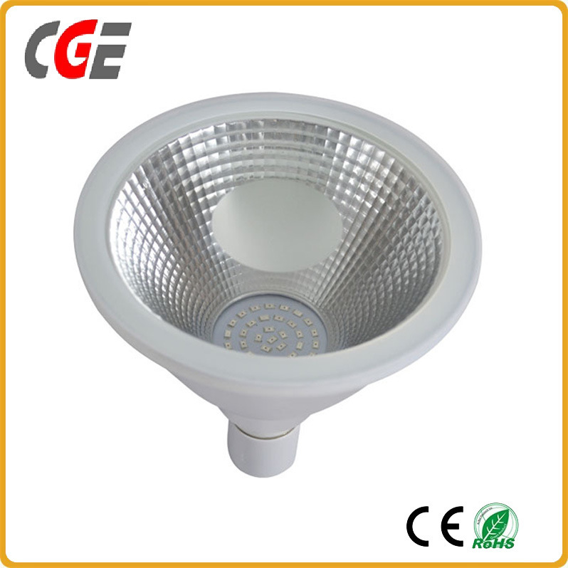 LED Light Waterproof IP65 3000K 4000K COB LED PAR38 Bulb Waterproof COB Downlight LED Bulb LED Lamp