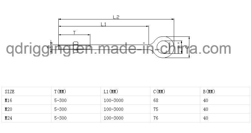 307s Stainless Steel 316 Long Shoulder Eye Bolt