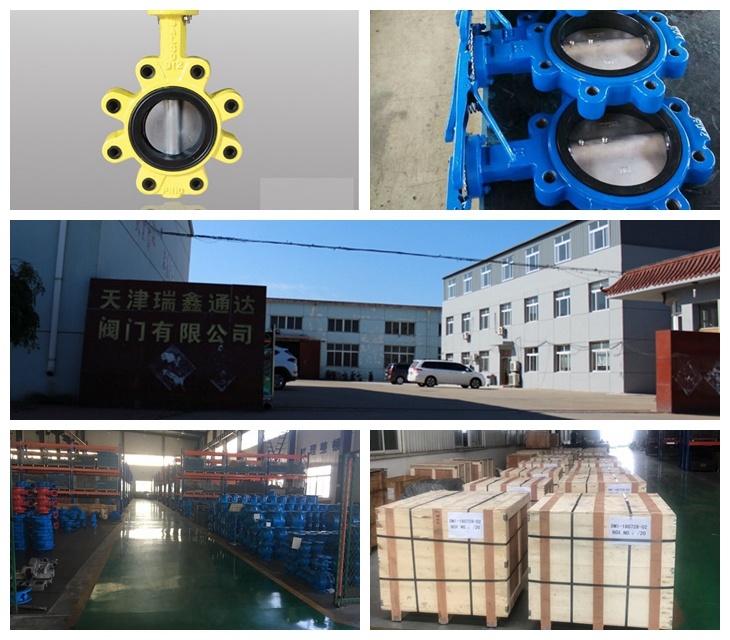 Worm Actuated Fully Lugged Butterfly Valve Ggg40