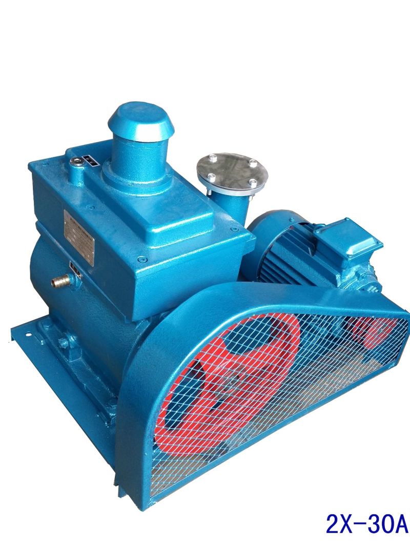 Rotary-Vane Vacuum Pump (2X)
