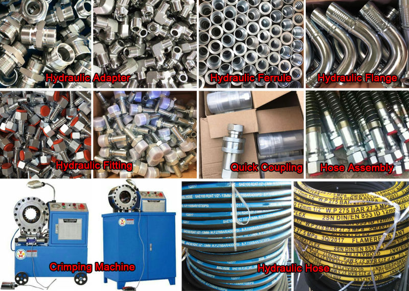 China Supplier 1/4 to 2'' Steel Fitting Factory Hydraulic Hose Pipe Fitting
