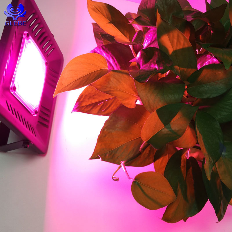 Grow LED Lights 50W Ultra-Thin LED Flood Light LED Hydroponic Lights