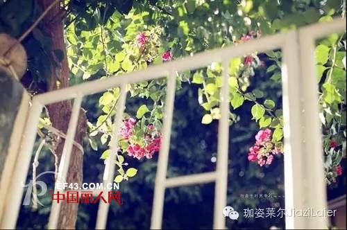 【珈姿莱尔】七月慢时光，行走的力量！让心静下来