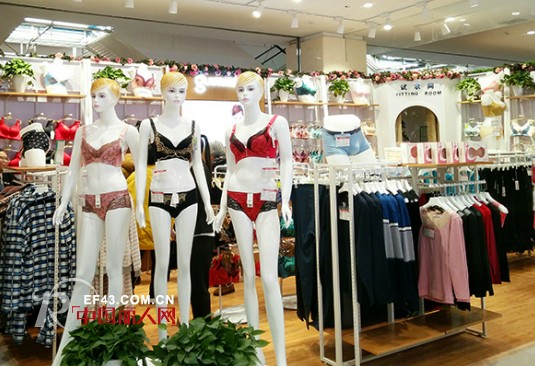 闺秘内衣品牌要火爆到底了，又有4家加盟店同时开业