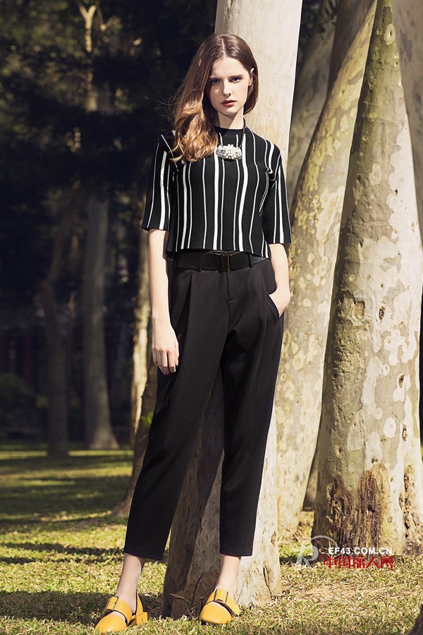 金舶莱 - KINGBOLAI