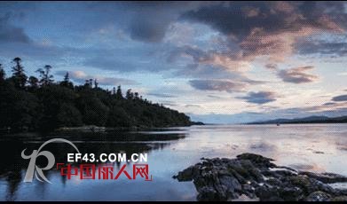 欧引