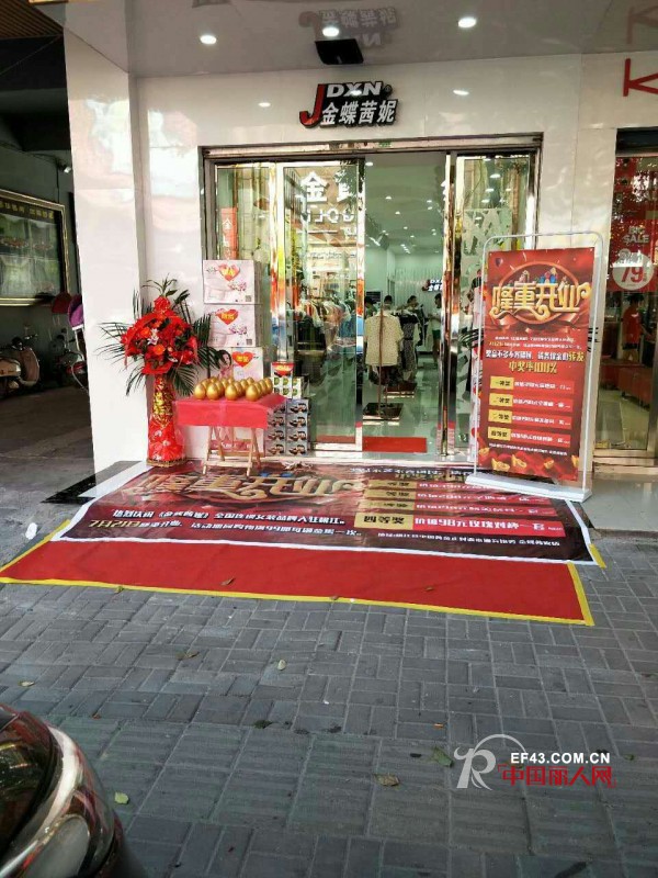 金蝶茜妮