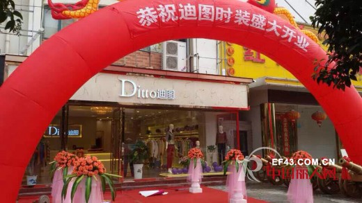 迪图 - DITTO