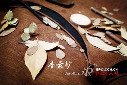 【Carolina王】顶级丝绸香云纱