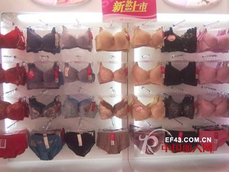 英姿丽人沙井店—— 时尚内衣连锁领导品牌
