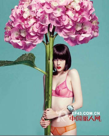 遐品牌内衣 符合众多女性的穿衣诉求