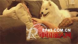 错过了那么多次，这次不要再错过了！