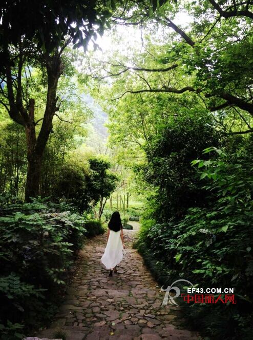 花园街19号 - NO.19