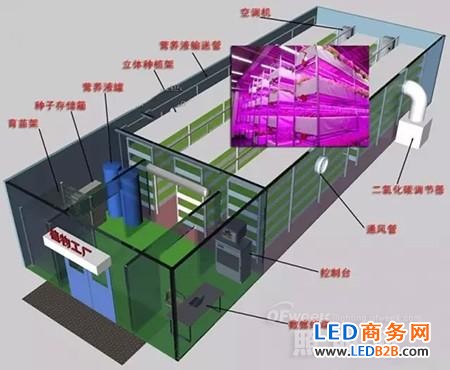 LED light source promotes plant growth