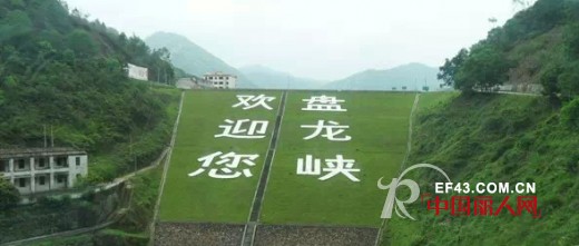 “踏青探景 一路有你”——BELLO ANN员工德庆、肇庆两日欢乐游