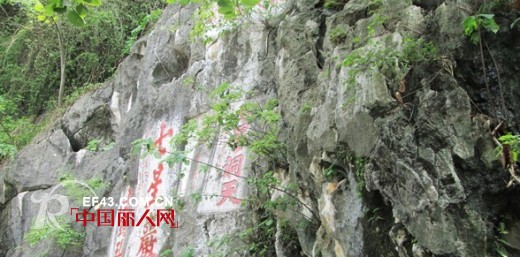 “踏青探景 一路有你”——BELLO ANN员工德庆、肇庆两日欢乐游