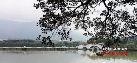 “踏青探景 一路有你”——BELLO ANN员工德庆、肇庆两日欢乐游
