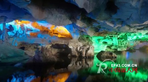 “踏青探景 一路有你”——BELLO ANN员工德庆、肇庆两日欢乐游