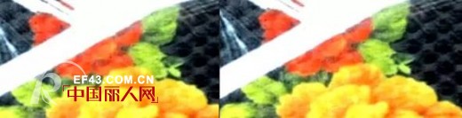 红凯贝尔新品发布 时尚摩登风引领秋季主流