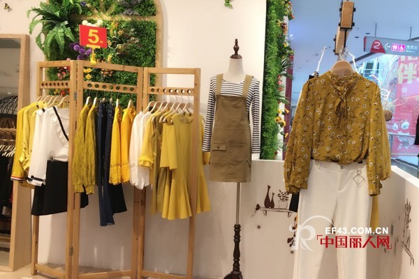 喜讯：热烈祝贺广东佛山彭孙邦先生成功签约淑女日记