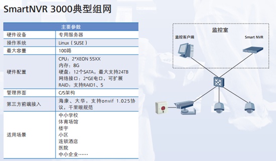 SmartNVR 3000 typical networking