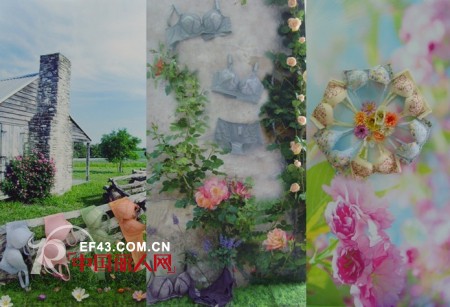 雅歌莉2012春夏新品评审会盛情召开