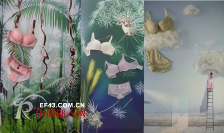 雅歌莉2012春夏新品评审会盛情召开