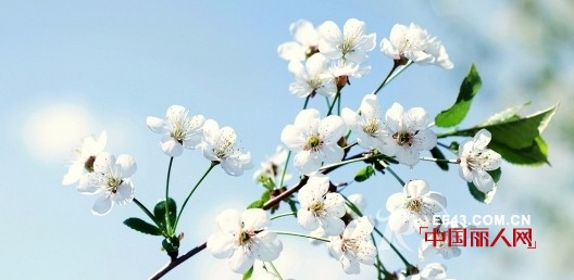 欧玥（OUYUE）：不想化妆的季节 靠它也很美！