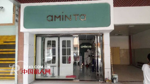 艾米塔 - AMINTA