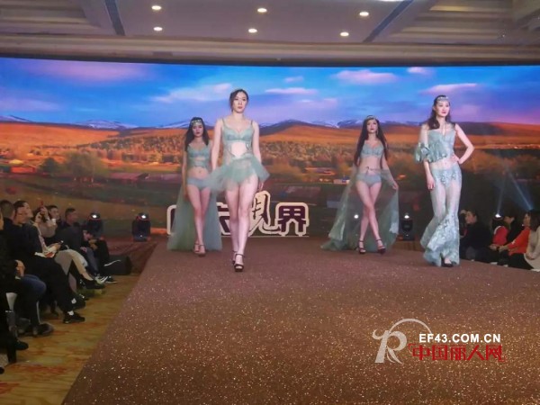 艾慕内衣闪耀亮相中国品牌内衣优秀经销商财智峰会南京站