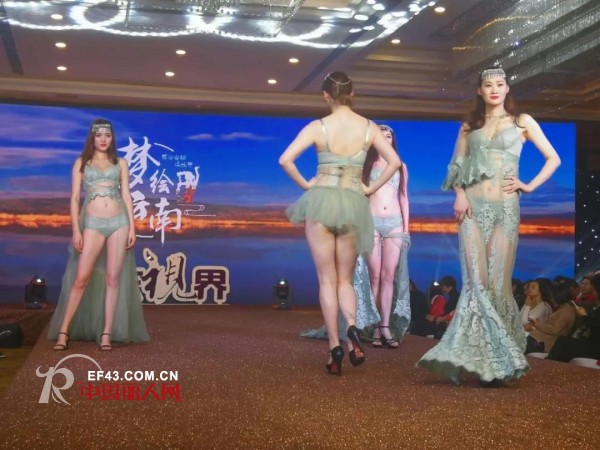 艾慕内衣闪耀亮相中国品牌内衣优秀经销商财智峰会南京站