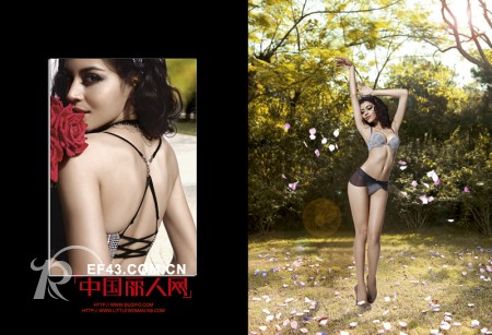 小妇人-LITTLEWOMAN