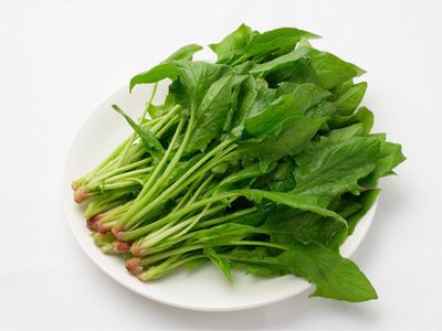 菠菜
