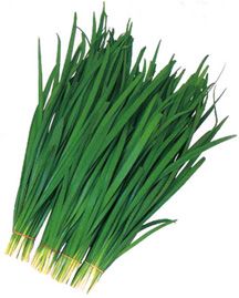 韭菜