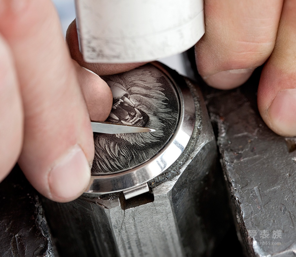 Wild Africa - Panerai Luminor 1950 Series Sealand Purdey watch