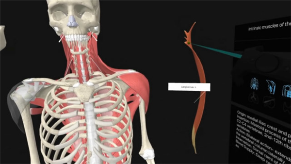 Medical students can use VR technology to simulate human anatomy