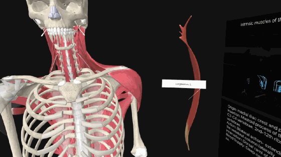 Medical students can use VR technology to simulate human anatomy