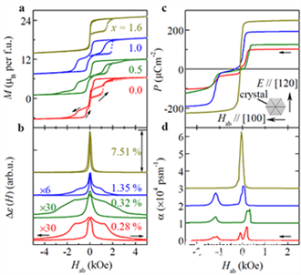 Giant magnetoelectric coupling effect in multiferroic hexagonal ferrite