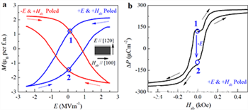 Giant magnetoelectric coupling effect in multiferroic hexagonal ferrite