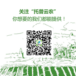 Top Service WeChat QR Code