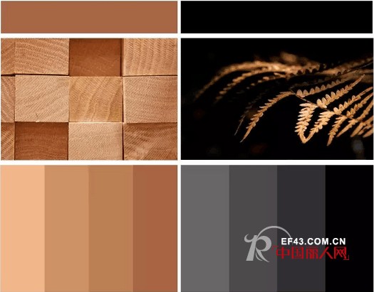 NEWFOUND纽方|稳重大气，诠释女性独立态度