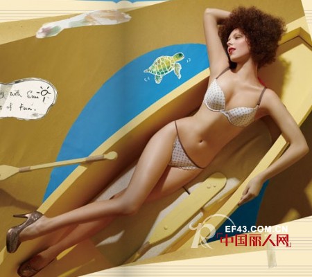 芬狄诗 - fandecie