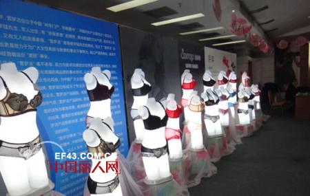 雪梦洁内衣&ldquo;凤之舞.浴火&rdquo;2012秋冬订货会圆满落幕