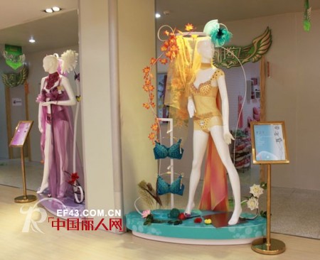腾飞2012迪芬娜秋冬新品发布会盛大召开