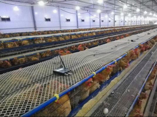 The Significance of Temperature and Humidity Monitoring System for Environmental Monitoring of Hen Houses