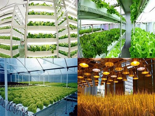 LED agricultural lighting market will start