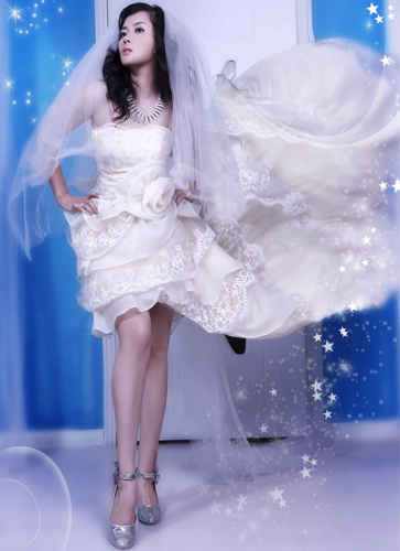 爱慕在线：传统企业进军电子商务的样本