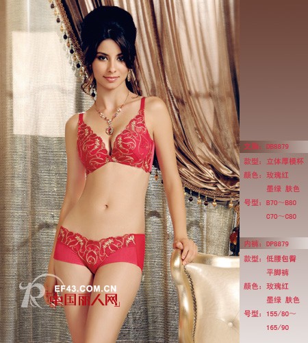 迪芬娜&ldquo;内衣家居生活馆&rdquo;新品牌战略发布会即将召开